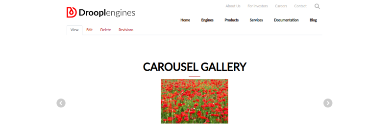 Carousel gallery in Droopler