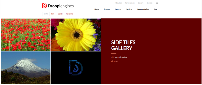 Sidebar tiles gallery in Droopler